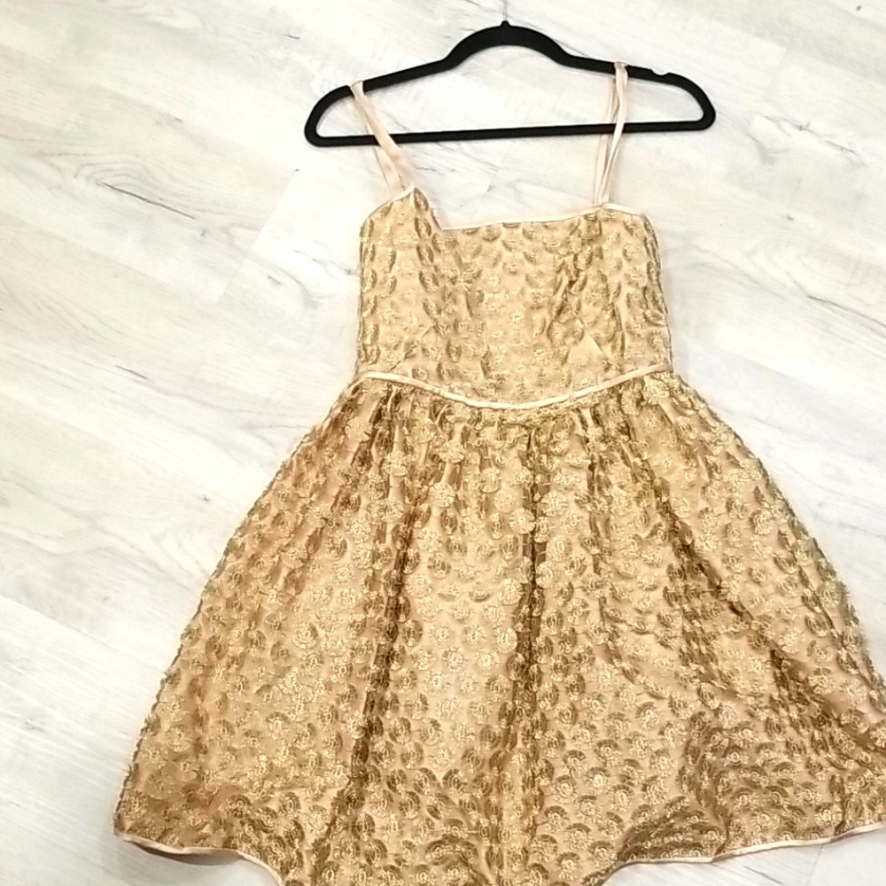 Gold and blush with 3D mesh dots dress